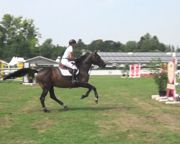 FEI Reitturnier Eschweiler (GER) 2020