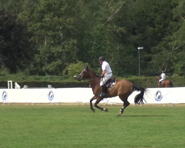 FEI Reitturnier Eschweiler (GER) 2020