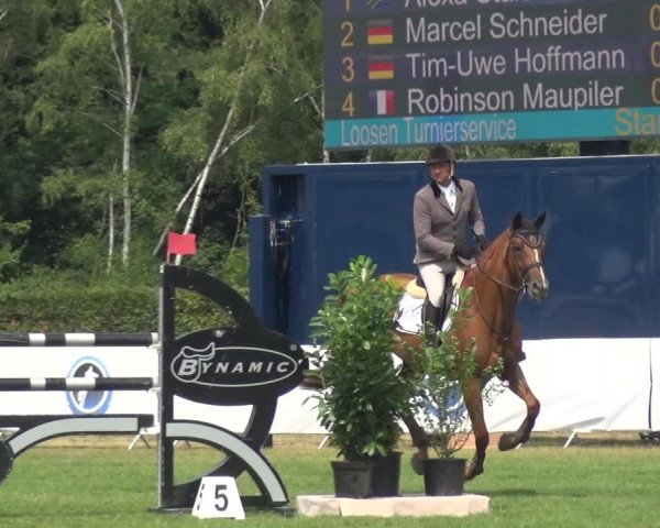 FEI Reitturnier Eschweiler (GER) 2020