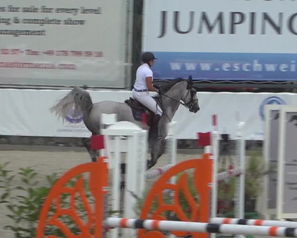 FEI Reitturnier Eschweiler (GER) 2020