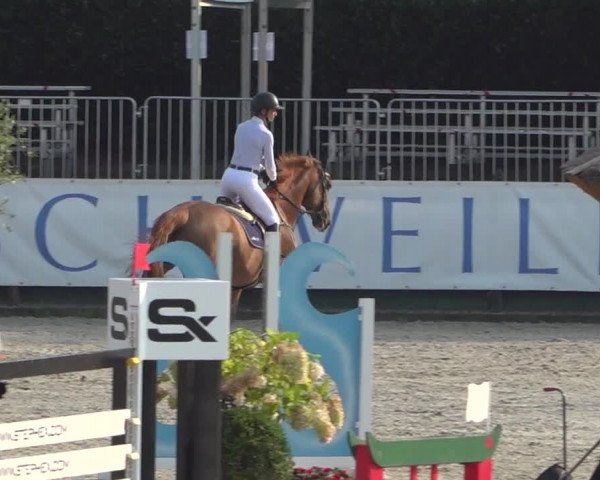 FEI Reitturnier Eschweiler (GER) 2020