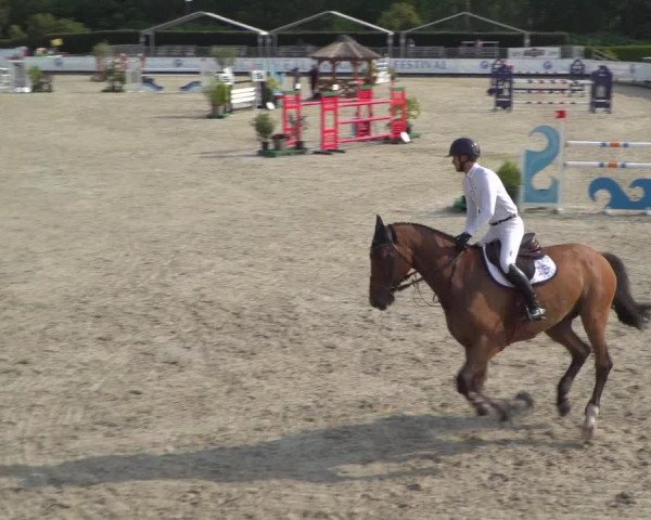 FEI Reitturnier Eschweiler (GER) 2020