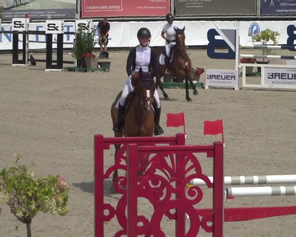 FEI Reitturnier Eschweiler (GER) 2020