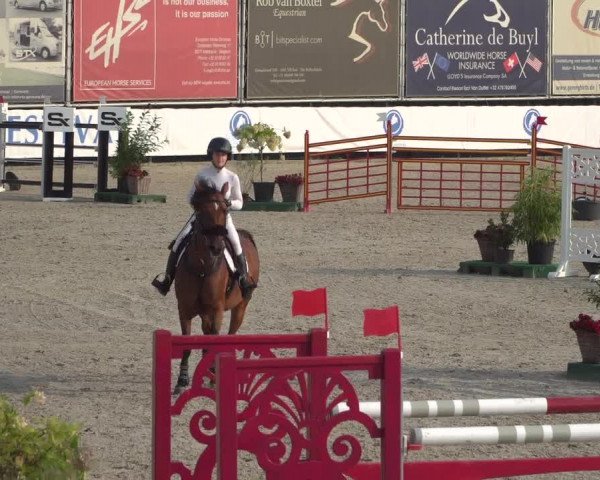 FEI Reitturnier Eschweiler (GER) 2020