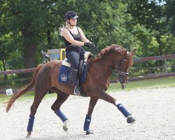 broodmare Fairytale 60 (Oldenburg, 2008, from Florencio I)