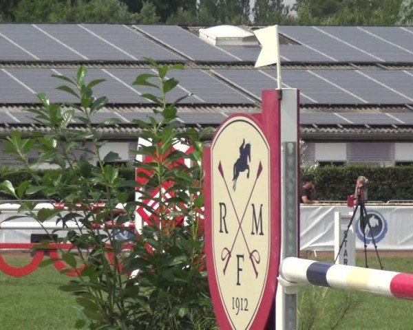 FEI Reitturnier Eschweiler (GER) 2020