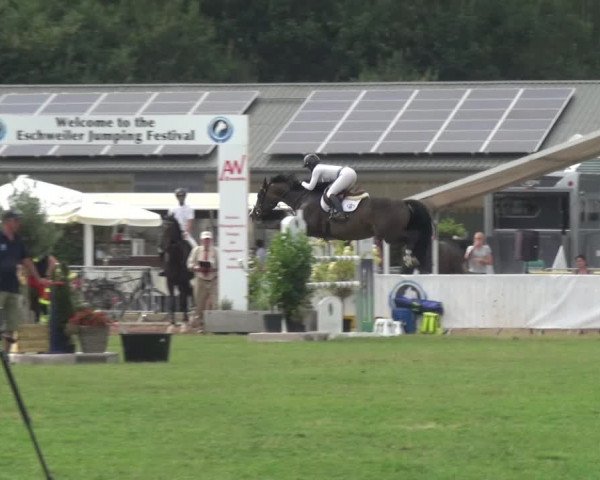 FEI Reitturnier Eschweiler (GER) 2020