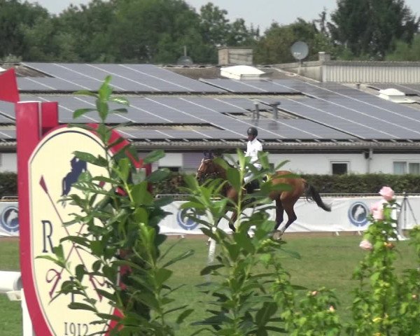 FEI Reitturnier Eschweiler (GER) 2020