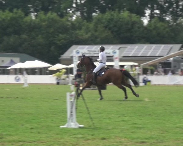FEI Reitturnier Eschweiler (GER) 2020