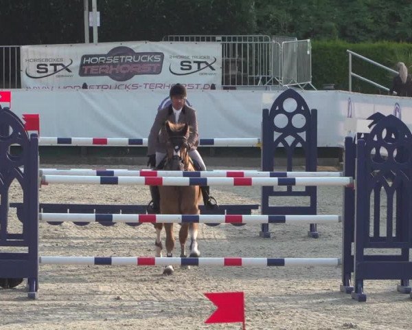 FEI Reitturnier Eschweiler (GER) 2020