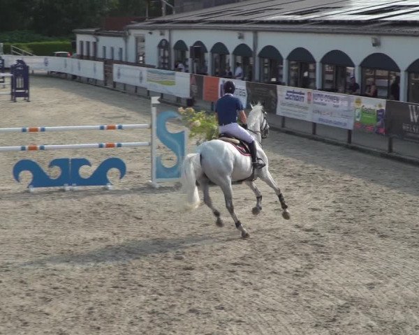 FEI Reitturnier Eschweiler (GER) 2020