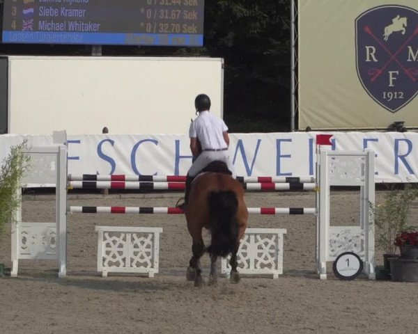 FEI Reitturnier Eschweiler (GER) 2020