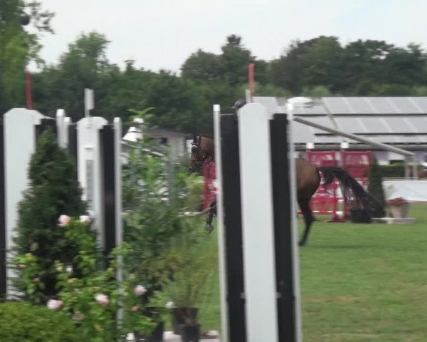 FEI Reitturnier Eschweiler (GER) 2020