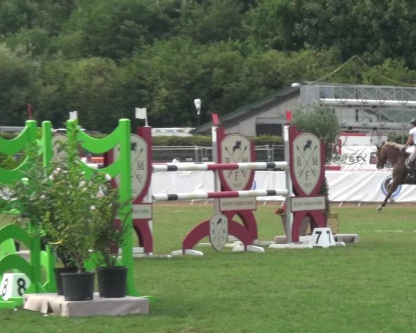 FEI Reitturnier Eschweiler (GER) 2020