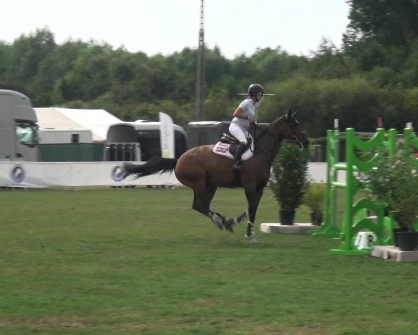 FEI Reitturnier Eschweiler (GER) 2020