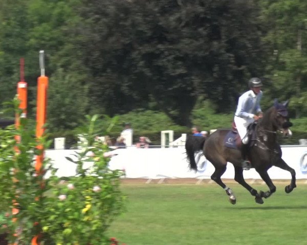 FEI Reitturnier Eschweiler (GER) 2020