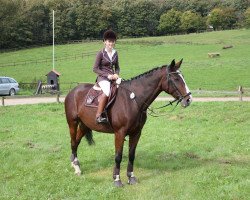 broodmare Rosalie 153 (Hanoverian, 2004, from Rhytmo)
