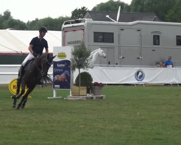 FEI Reitturnier Eschweiler (GER) 2020