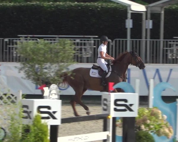 FEI Reitturnier Eschweiler (GER) 2020