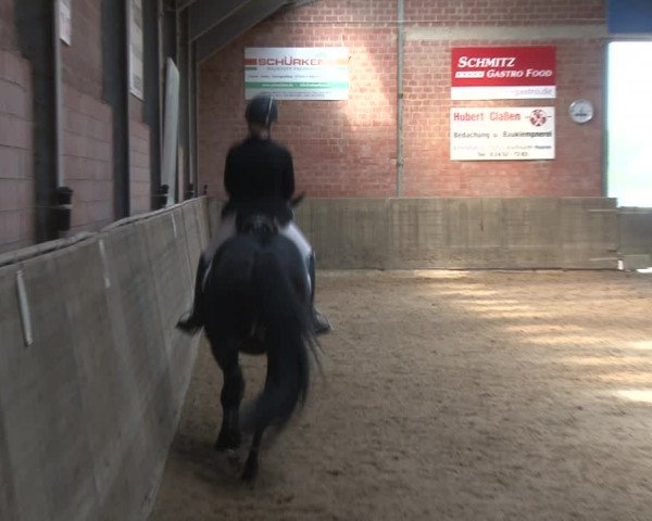 Reitturnier Kirchhoven-Vinn 2020