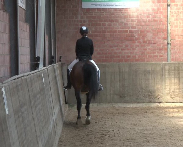 Reitturnier Kirchhoven-Vinn 2020