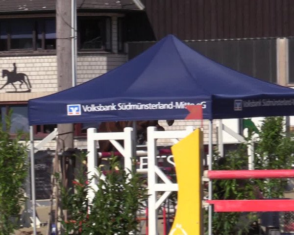 Reitturnier Olfen-Vinnum 2020
