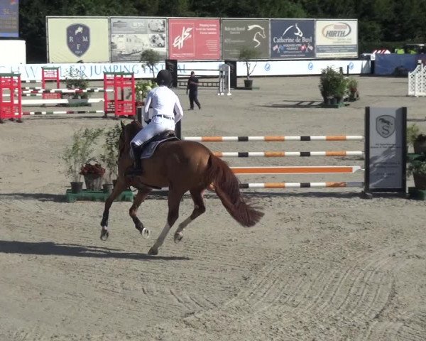 FEI Reitturnier Eschweiler (GER) 2020