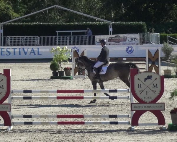 FEI Reitturnier Eschweiler (GER) 2020
