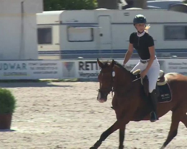 Reitturnier Grafenrheinfeld/Ufr. 2020