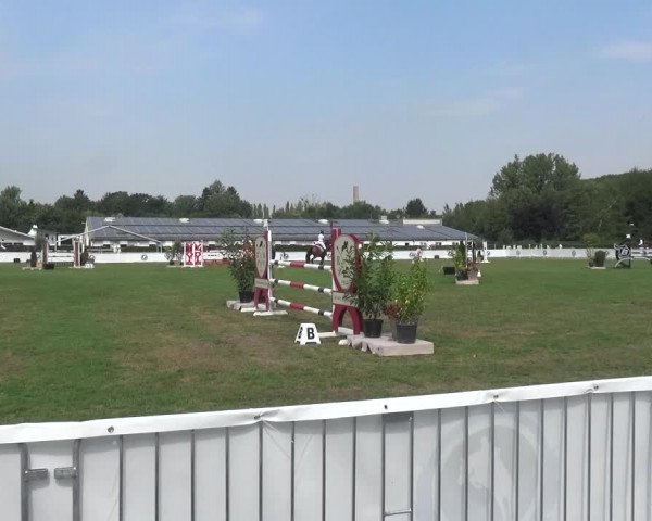 FEI Reitturnier Eschweiler (GER) 2020