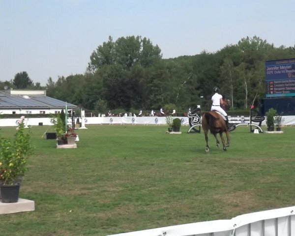 FEI Reitturnier Eschweiler (GER) 2020