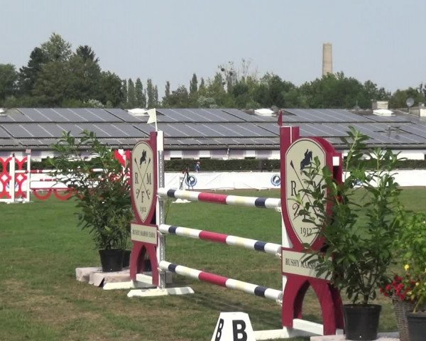 FEI Reitturnier Eschweiler (GER) 2020