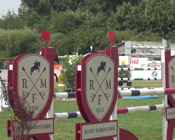 FEI Reitturnier Eschweiler (GER) 2020