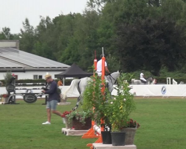 FEI Reitturnier Eschweiler (GER) 2020
