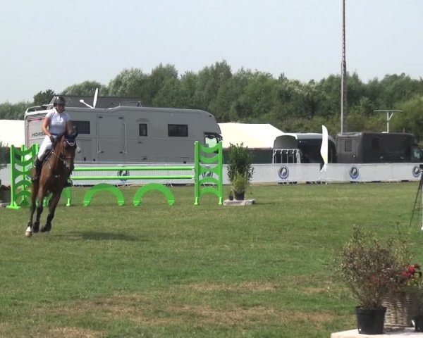 FEI Reitturnier Eschweiler (GER) 2020