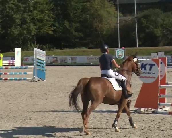 Reitturnier Grafenrheinfeld/Ufr. 2020