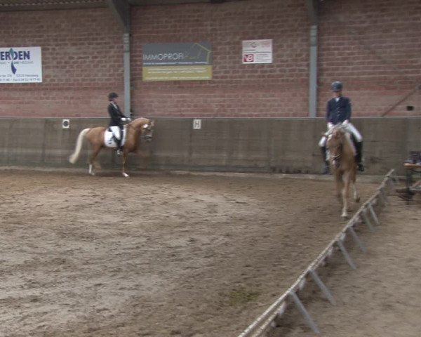 Reitturnier Kirchhoven-Vinn 2020