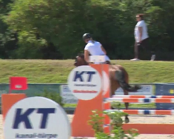 Reitturnier Grafenrheinfeld/Ufr. 2020