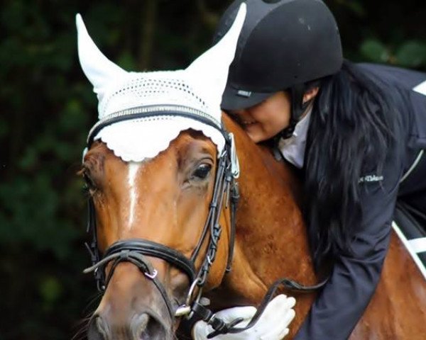 dressage horse Inferno (Belgian Warmblood, 2008, from In Flagranti)