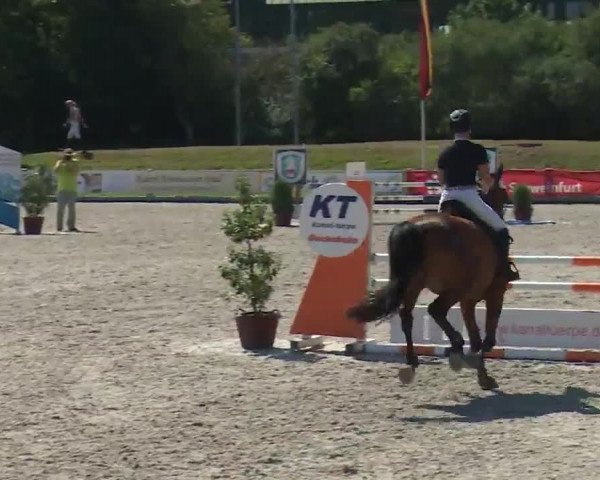 Reitturnier Grafenrheinfeld/Ufr. 2020