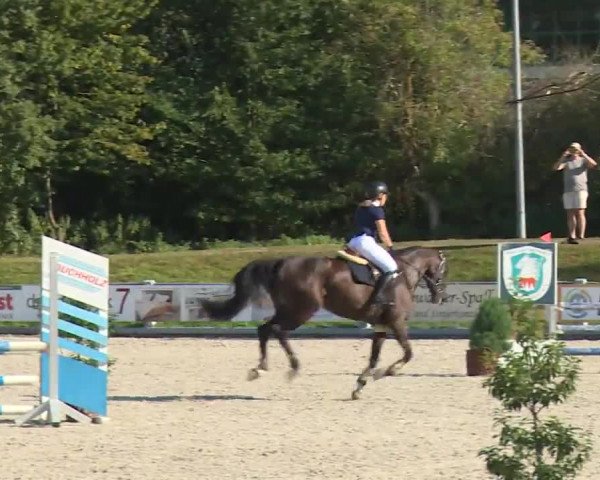 Reitturnier Grafenrheinfeld/Ufr. 2020