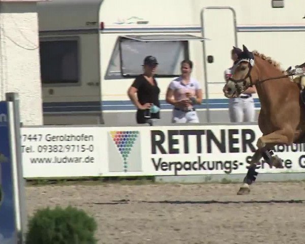 Reitturnier Grafenrheinfeld/Ufr. 2020