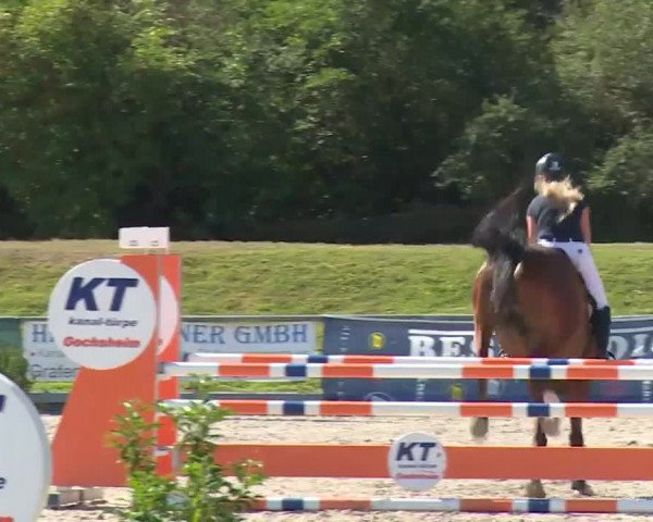 Reitturnier Grafenrheinfeld/Ufr. 2020