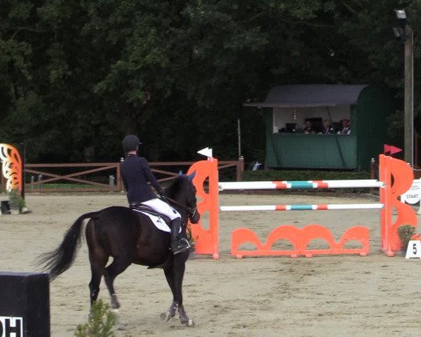 Equus Colonius - Reitanlage Brüse Köln 2021