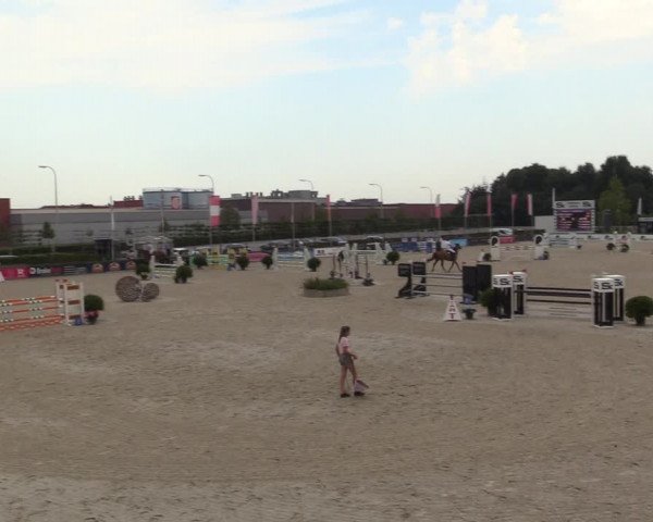 Gold +Cyclus Jonge Paarden in Lier (BEL) 2020