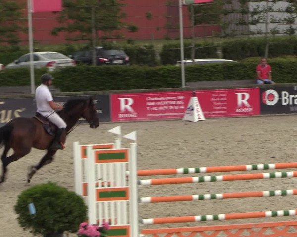 Gold +Cyclus Jonge Paarden in Lier (BEL) 2020