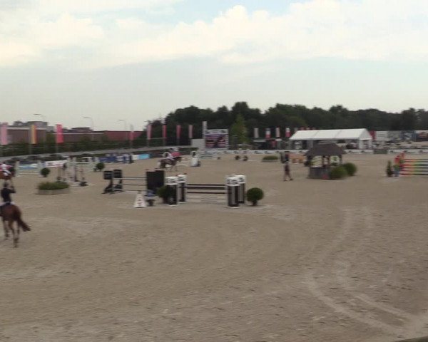 Gold +Cyclus Jonge Paarden in Lier (BEL) 2020