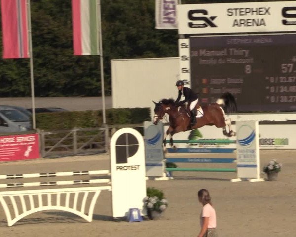 Gold +Cyclus Jonge Paarden in Lier (BEL) 2020