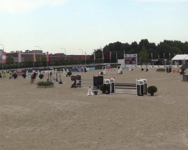 Gold +Cyclus Jonge Paarden in Lier (BEL) 2020