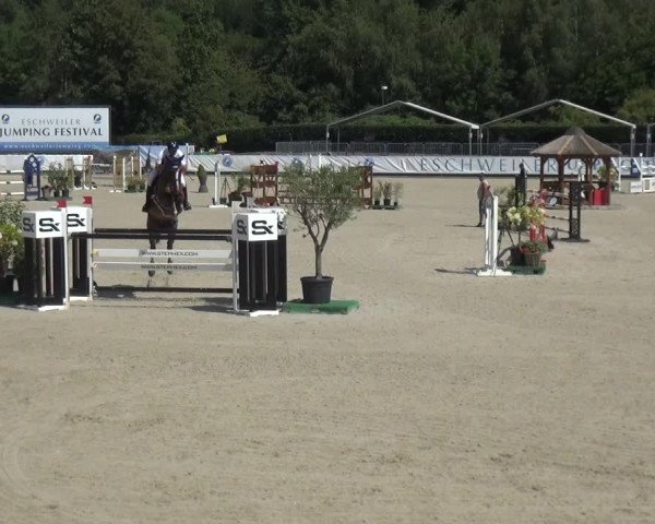 FEI Reitturnier Eschweiler (GER) 2020